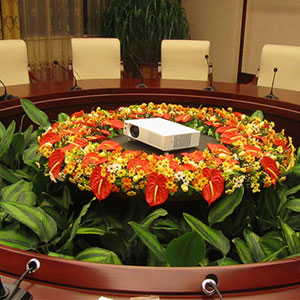 ES-100 digital conference project case