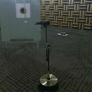 Acoustic detection technology